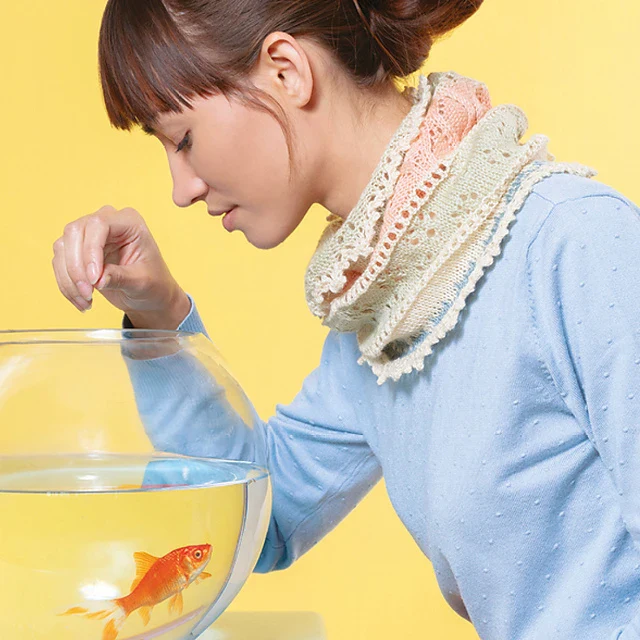 Cat Knits - Image 11