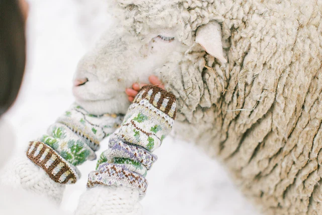 Knits from Northern Lands - Image 5